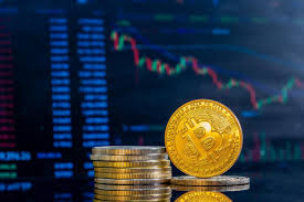 Онлайн казино BitZamo Casino
